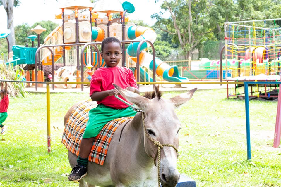 Donkey Ride Adventure